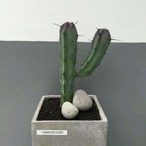 Meet your Posher, Zhou